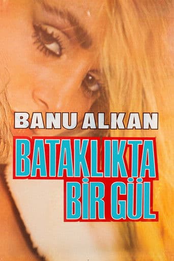 Bataklıkta Bir Gül