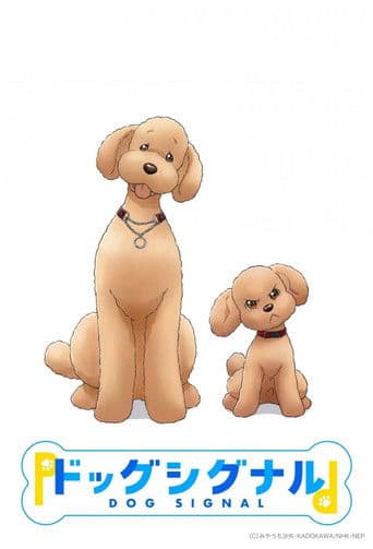 도그 시그널