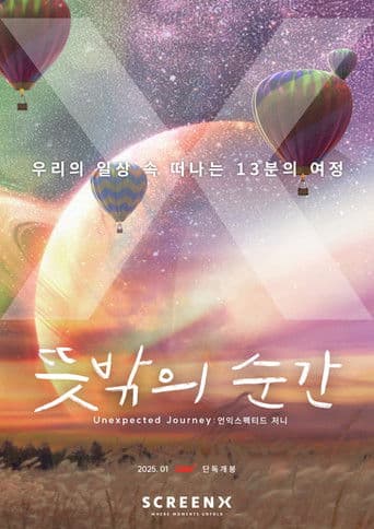 뜻밖의 순간 : 언익스펙티드 저니