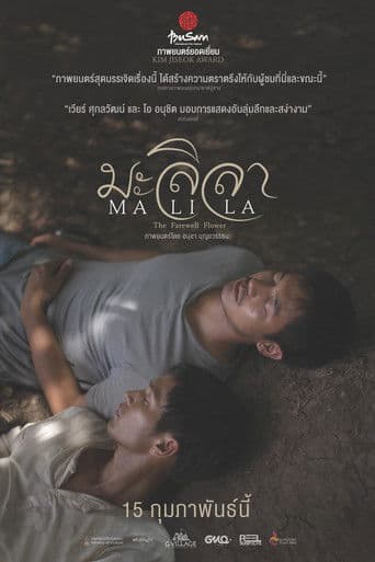 마릴라: 이별의 꽃