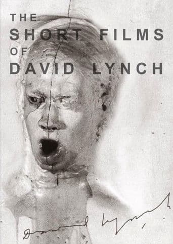 The Short Films of David Lynch