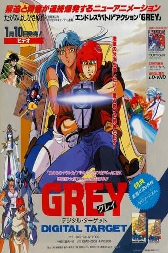 그레이 디지털 타겟