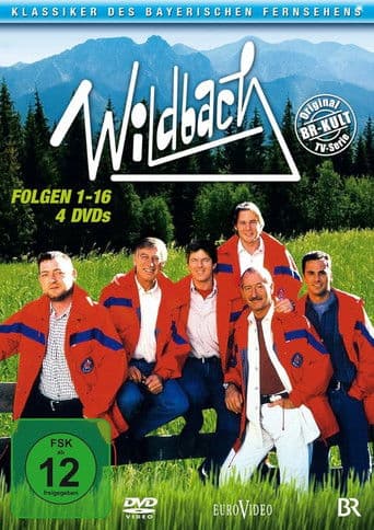 Wildbach