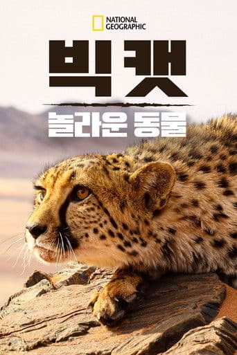 빅 캣: 놀라운 동물