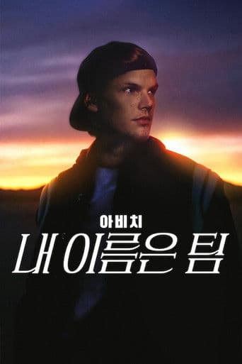 아비치: 내 이름은 팀