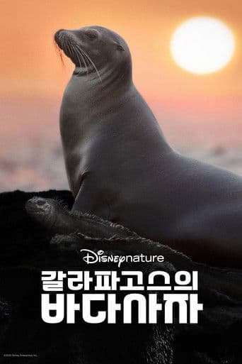 갈라파고스의 바다사자