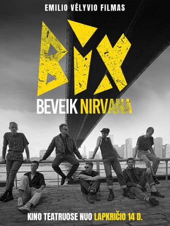 BIX – beveik Nirvana