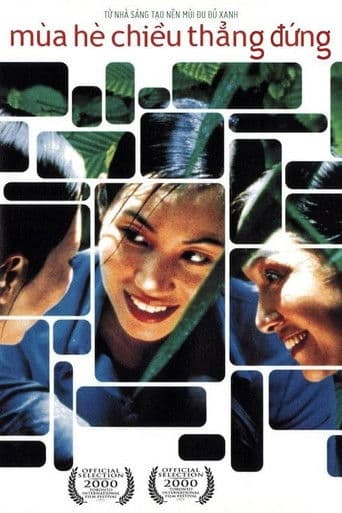 여름의 수직선에서