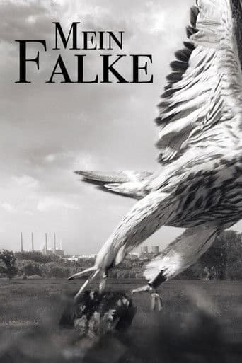 Mein Falke