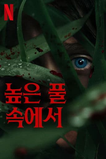 높은 풀 속에서