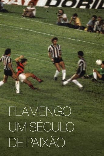 Flamengo: Um Século de Paixão