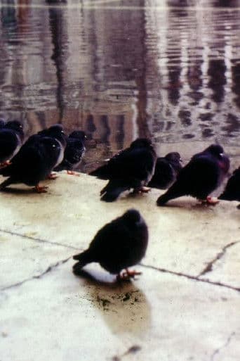 Une ville de la mer ou comment survivre à Venise