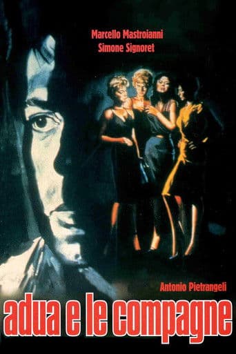 아두아 앤드 컴퍼니