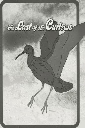 The Last of the Curlews