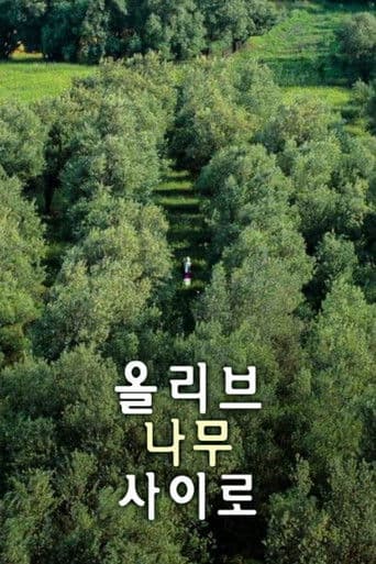 올리브 나무 사이로