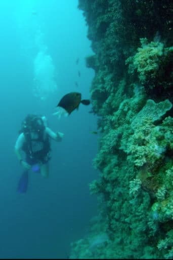 Wonders of the Great Barrier Reef with Iolo Williams