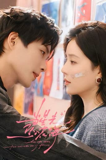 별빛이 꽃바다에 스며들 때