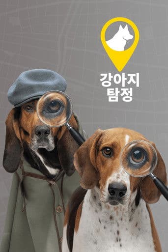 강아지 탐정