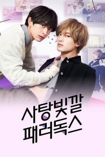 사탕빛깔 패러독스