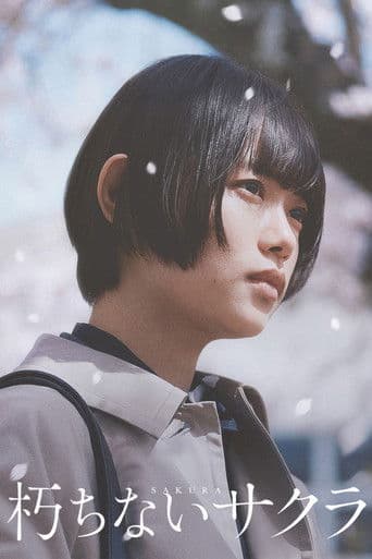 썩지 않는 벚꽃