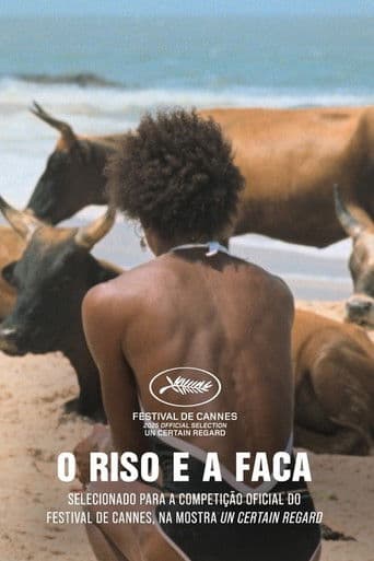 난 폭풍 속에 쉬어가