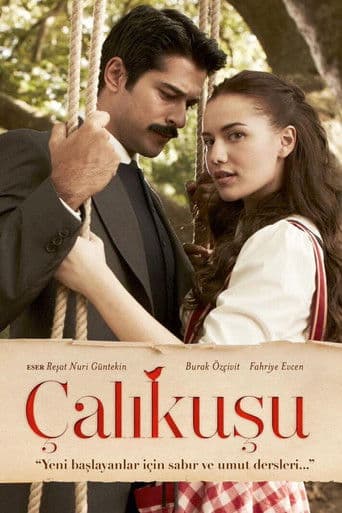 Çalıkuşu