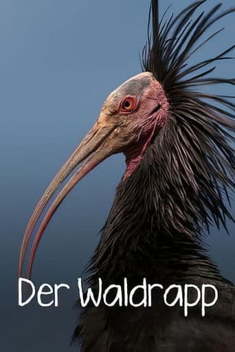 Der Waldrapp: Zugvogel im Aufwind