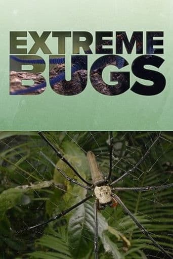 Extreme Bugs