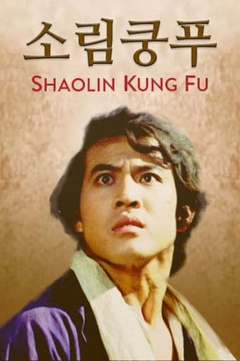 소림쿵푸