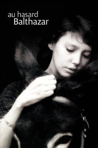 당나귀 발타자르