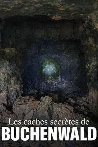 Die geheimen Depots von Buchenwald – Lösung eines Rätsels