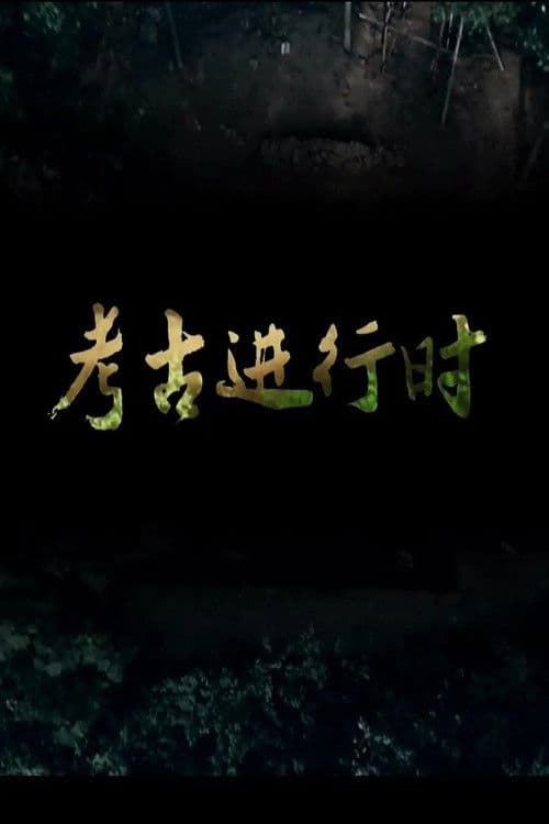 探索发现:2014考古进行时