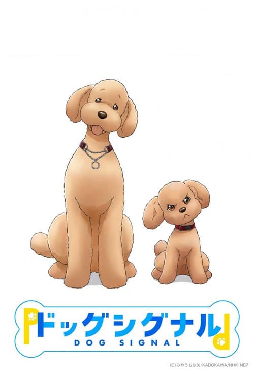 도그 시그널