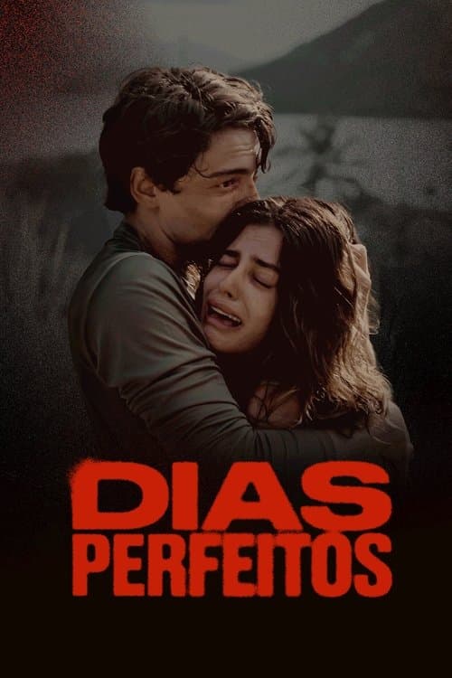Dias Perfeitos