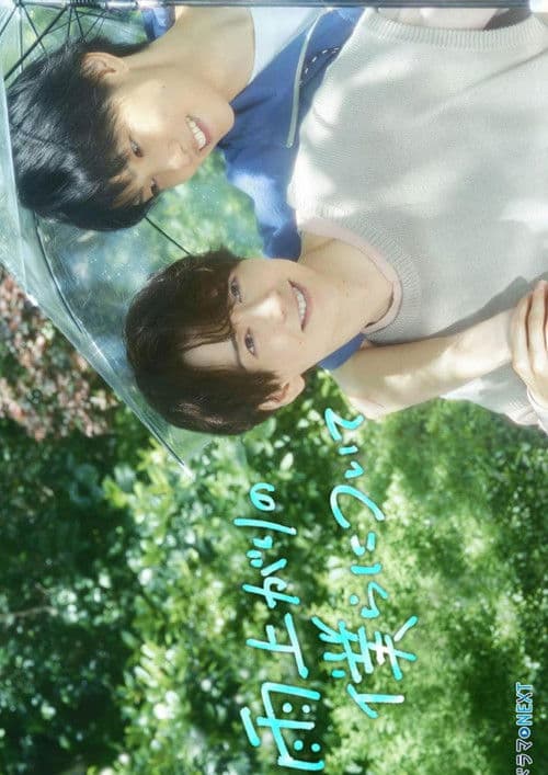 비 갠 뒤 우리들을 따라