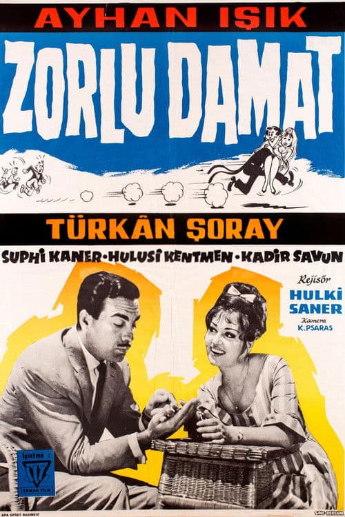 Zorlu Damat