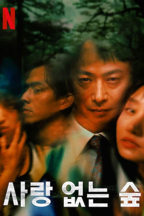 사랑 없는 숲: 깊은 상처