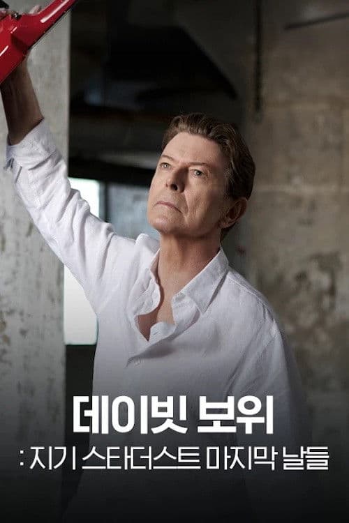 데이빗 보위: 지기 스타더스트 마지막 날들