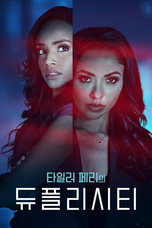 타일러 페리의 듀플리시티