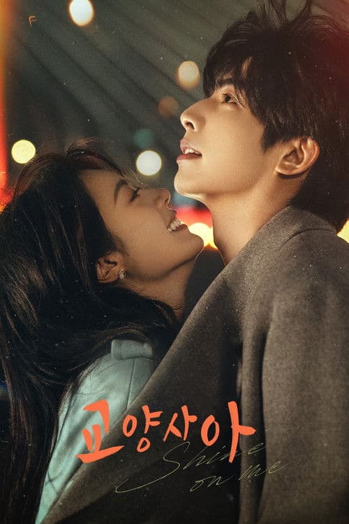 교양사아 : 눈부시게 빛나는 햇살