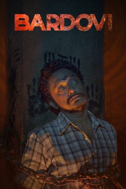 बारडोवी