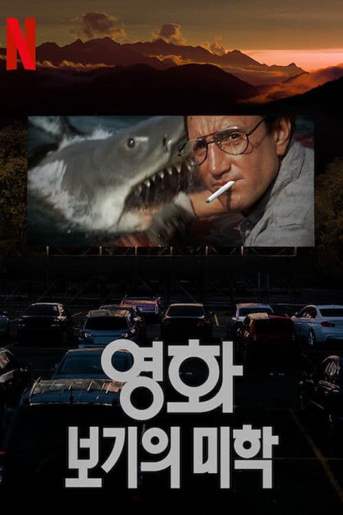 영화, 보기의 미학