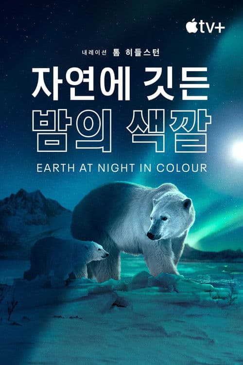 '자연에 깃든 밤의 색깔' - Earth at Night in Colour