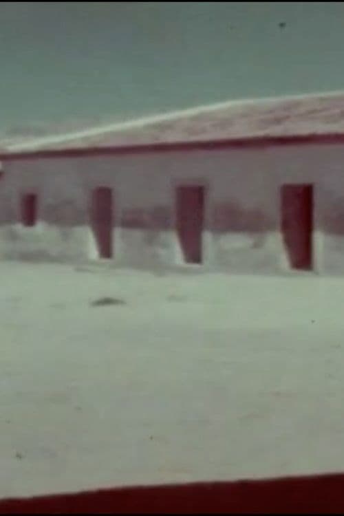 A Flor do Lácio é vadia