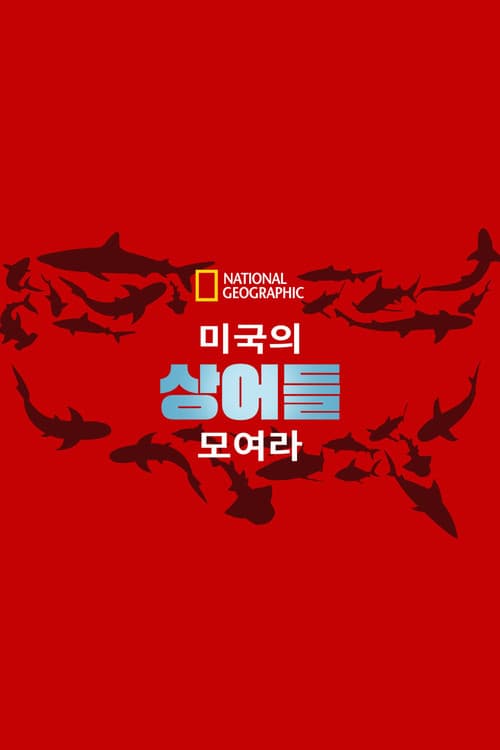 United Sharks of America