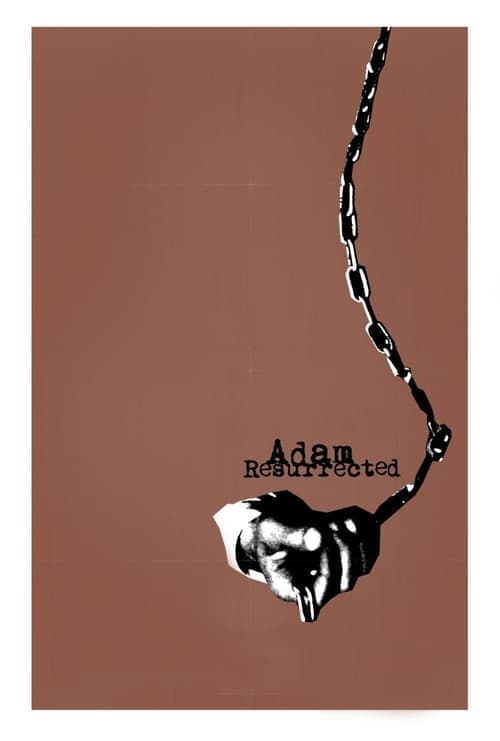 애덤 레져렉티드