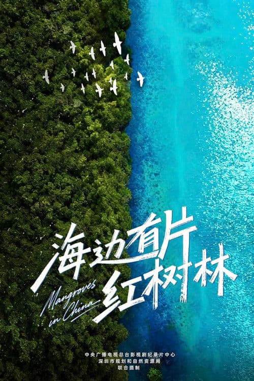 海边有片红树林