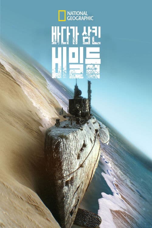 바다가 삼킨 비밀들