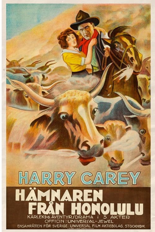 The Outlaw and the Lady