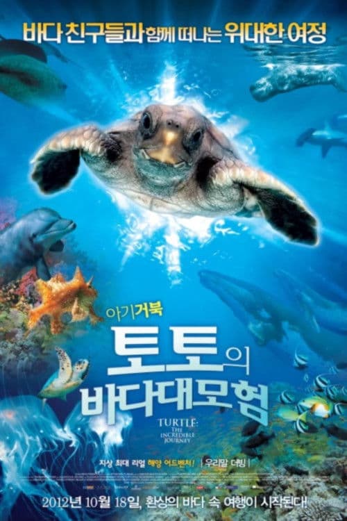 아기 거북 토토의 바다 대모험